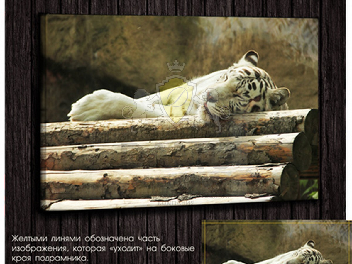 Печать на холсте 17